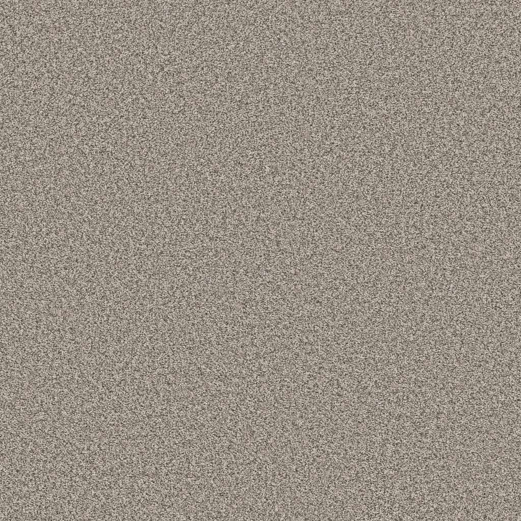 Shaw Simply The Best All About It 00510 Pencil Sketch Polyester Carpet