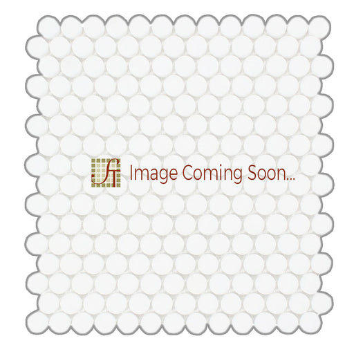 Calacatta Oliva Marble Mosaic - Penny Round