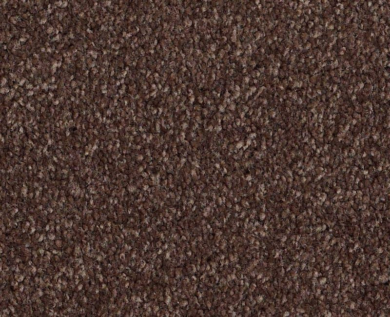 Shaw XV930 00717 Peppercorn Textured Nylon Carpet Lowest Price