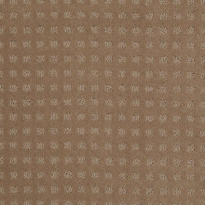 Shaw Floor Studio Style With Ease Nylon Perfect Beige 00703