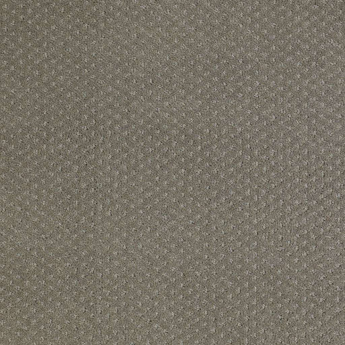 Genesis Nylon Pewter 00513