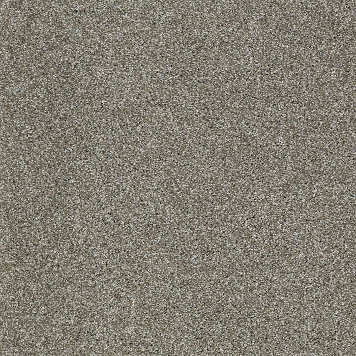 Shaw Floor Studio Gelato Nylon Pewter 00513