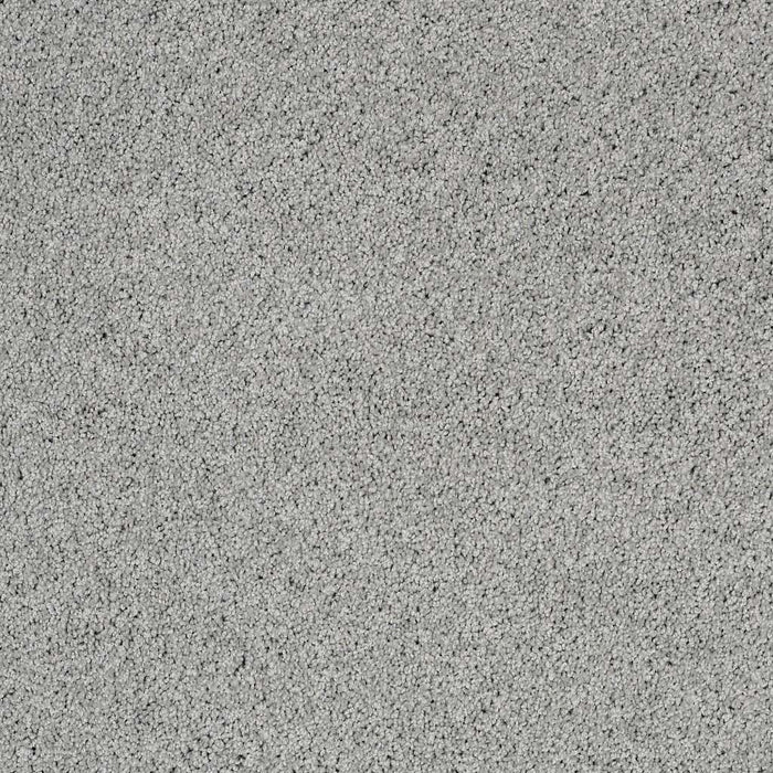 Foundations Take The Floor Twist II Nylon Pewter 00551