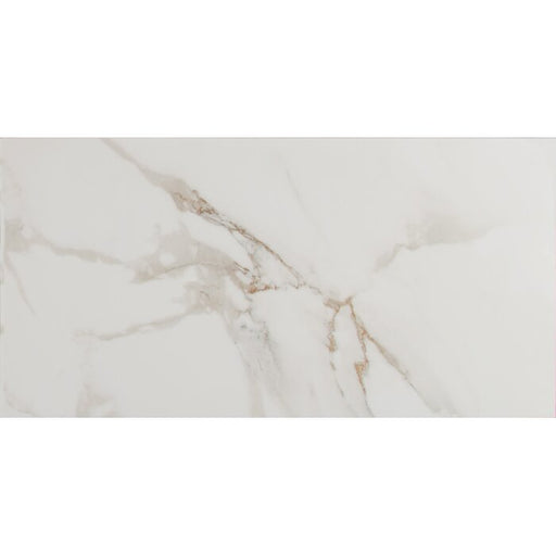 Pietra Carrara NPIECAR1224P