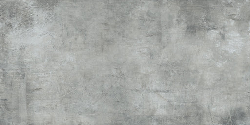 Plant Ash Polished Porcelain Tile - 12" x 24"