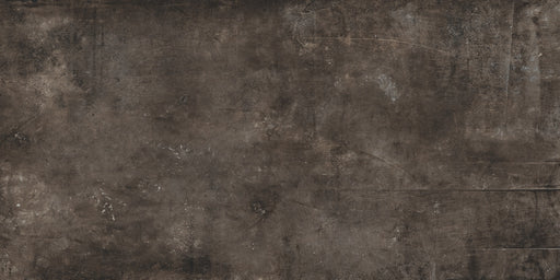 Plant Iron Polished Porcelain Tile - 12" x 24"