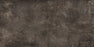 Plant Iron Polished Porcelain Tile - 12" x 24"