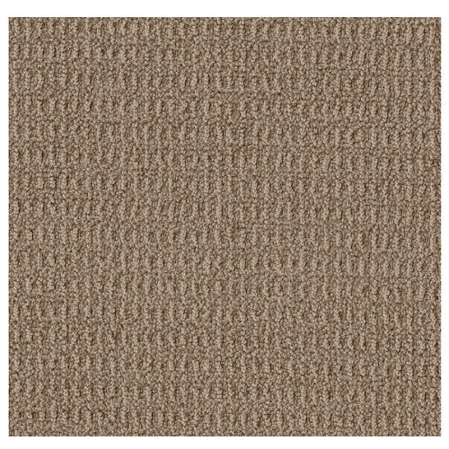 Crystal Cove Plaza Taupe 00734