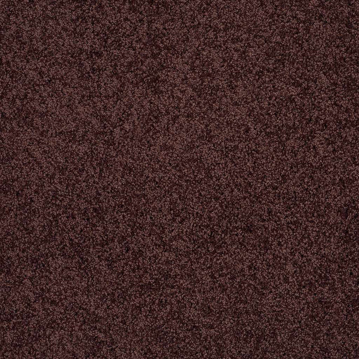 Shaw Floor Studio Around The House I Nylon Plum Delight 00902