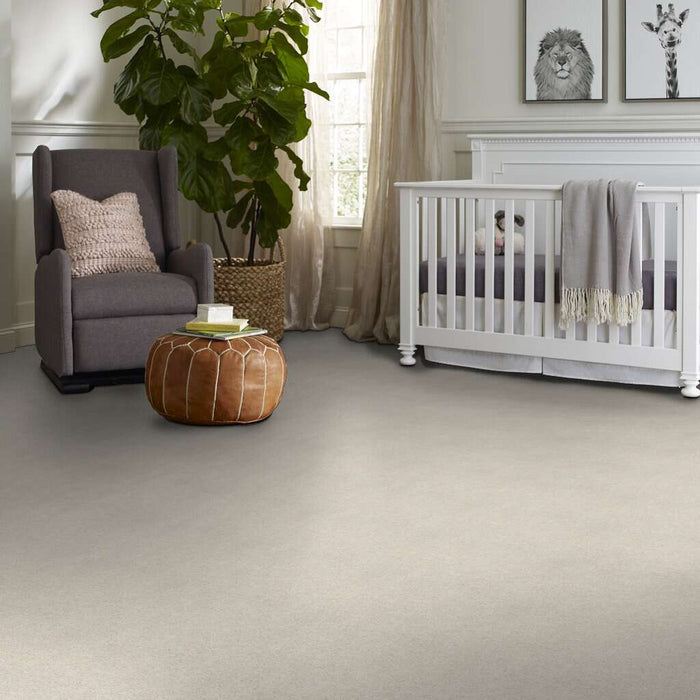 Shaw Floor Studio Around The House I Polar 00104 Textured Nylon