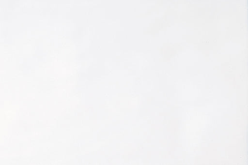 Polaris Gloss White PL02