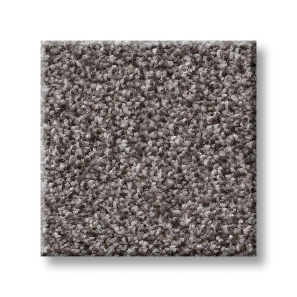 Shaw Simply the Best Values Trusplendor 00509 Quarry Polyester Carpet