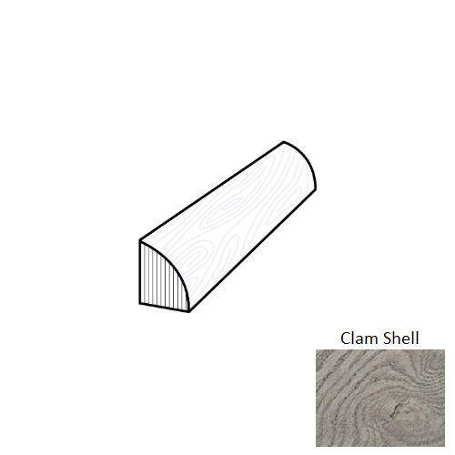 Coastal Art Clam Shell AAQTR-15007