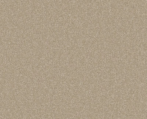 Magic Happens PV IV Quartz 00144
