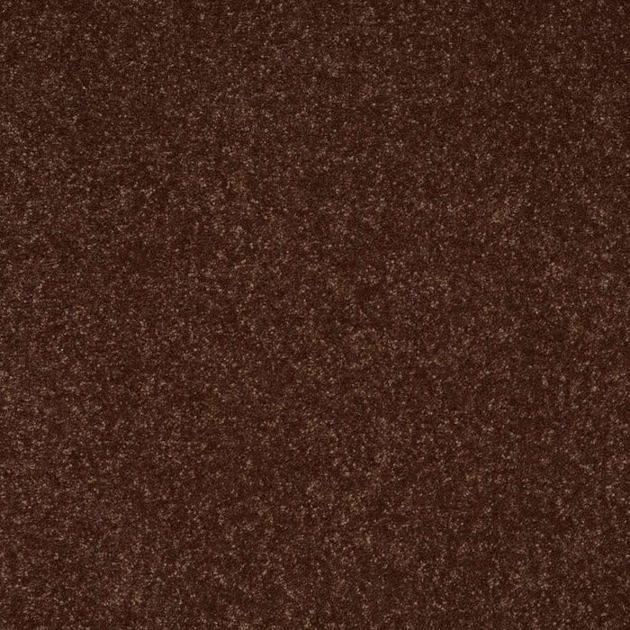 Shaw Floor Studio Home News I 15' Polyester Raisin 00709