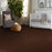 Shaw Floor Studio Home News I 12' Raisin 00709 Textured Polyester