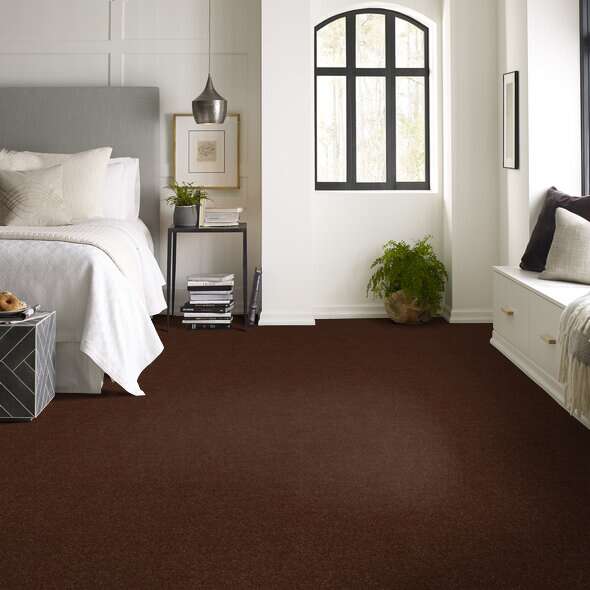 Shaw Floor Studio Home News I 12' Raisin Textured 00709