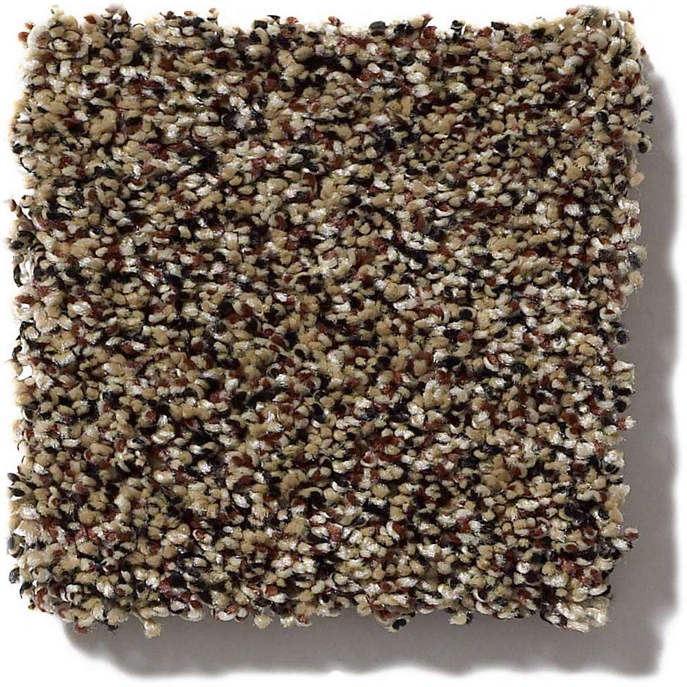 Shaw Simply The Best Because We Can III 15' 00202 Raw Sienna Carpet