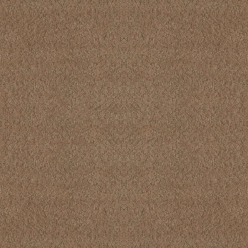Foundations Alluring Canvas Raw Wood 00720