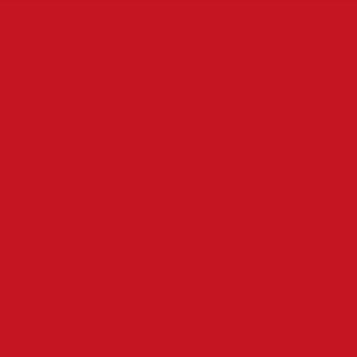 Roca Color Red Pepper Glossy Ceramic Tile | Lowest Price — Stone