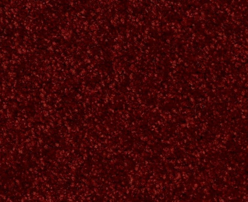 XV304 Red Wine 00801