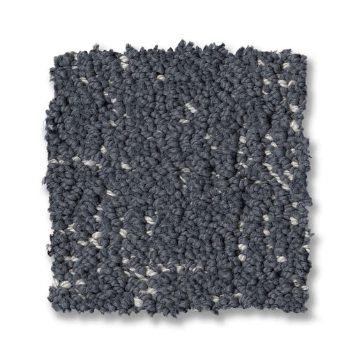 Pet Perfect Run Free Refined 00402