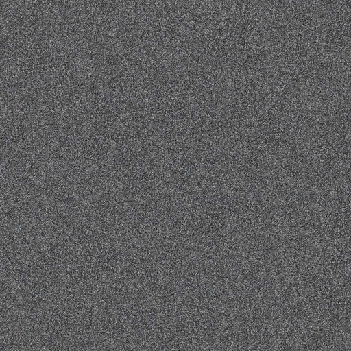 Pet Perfect Yes You Can II 12' Refined 00402
