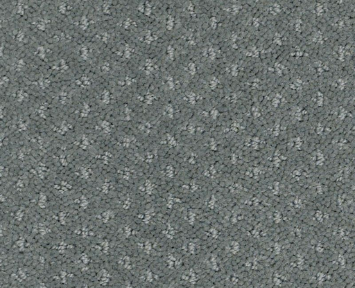 First Beginning Refreshing 00412