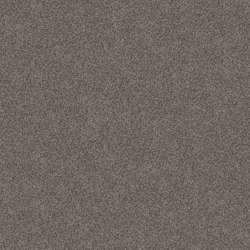 Pet Perfect Yes You Can III 12' Rerooted Nature 00300