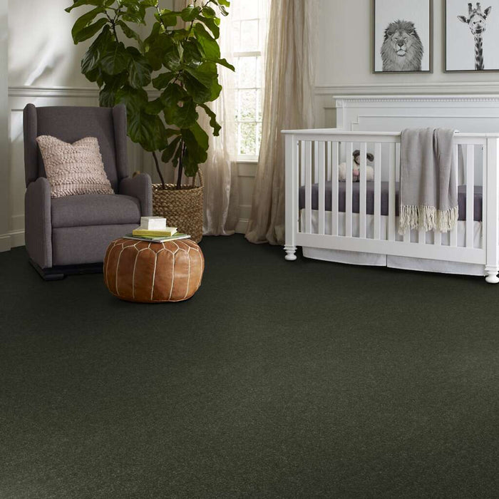 Pet Perfect Hard At Play I 12' Rerooted Nature 00300 Textured Polyester