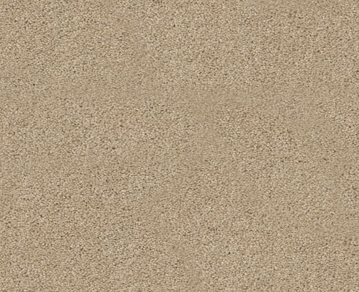 Orlando PV Rice Paper 00164