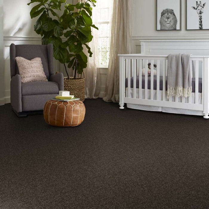 Simply The Best Of Course We Can I 15' Rich Earth 00704 Textured Polyester