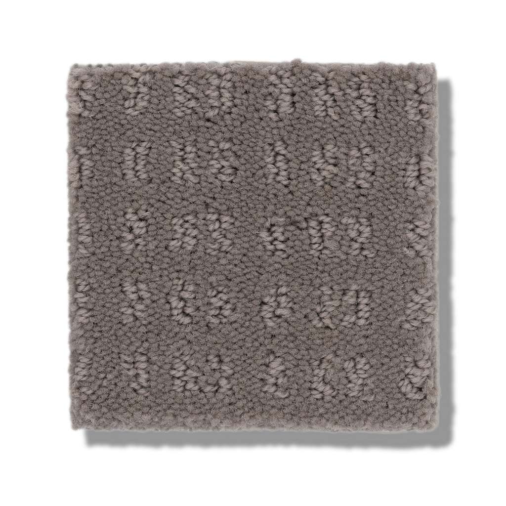 Shaw Foundations Essential Now 00751 Ridgeview Pattern Nylon Carpet ...