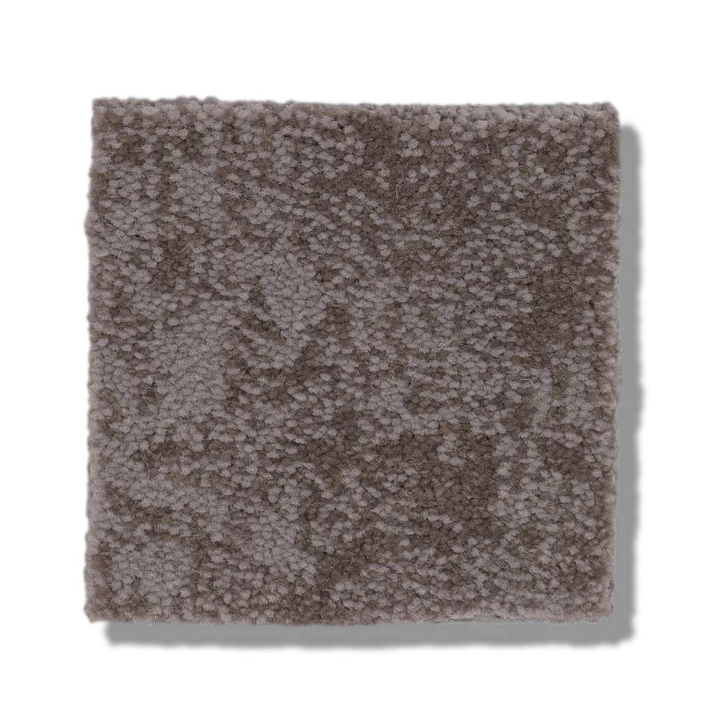 Shaw Caress By Shaw State Of Mind 00751 Ridgeview Pattern Nylon Carpet ...