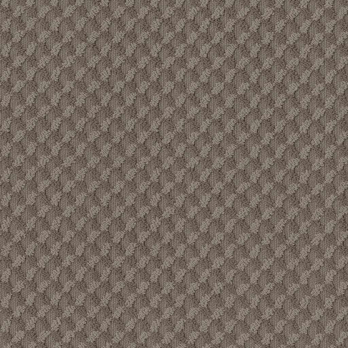 Caress By Shaw Inspired Design Nylon Ridgeview 00751