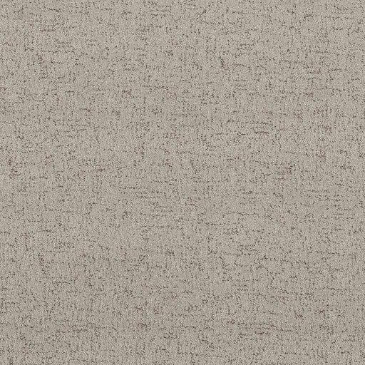 Pet Perfect Run Free River Birch 00106