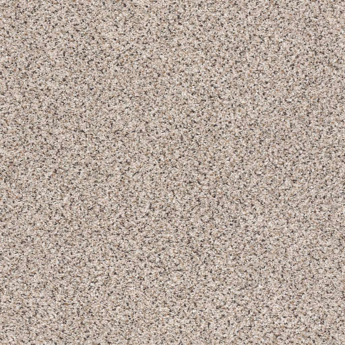 Foundations Take The Floor Accent I Nylon Riverbed 00171