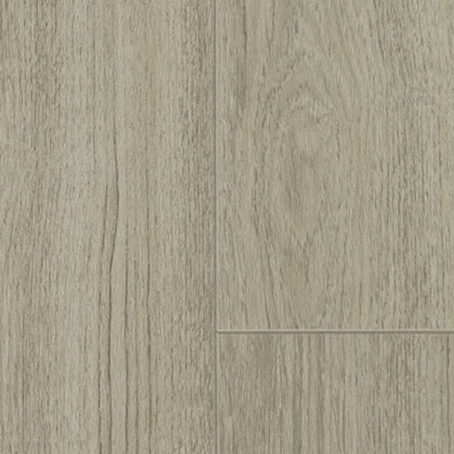 Insight Plus Chesapeake Rock Elm 6692