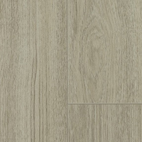 Insight Plus Chesapeake Rock Elm 6692