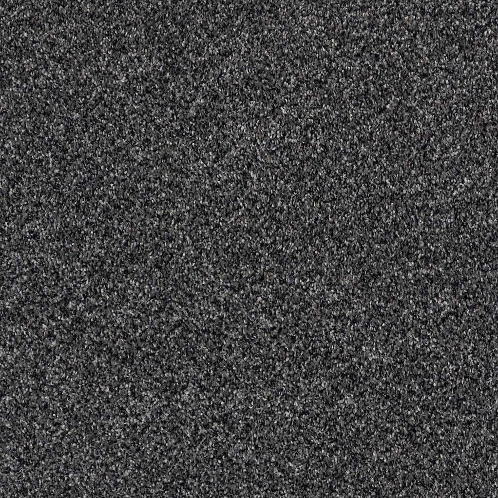 Shaw Simply The Best Because We Can III 12' 00501 Rocky Mountains