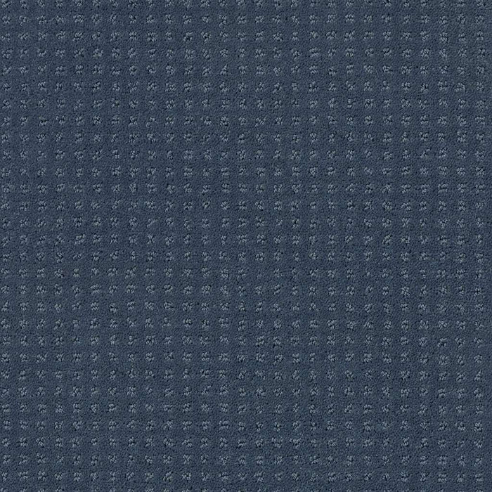 Foundations Alluring Disposition Nylon Royal Navy 00470