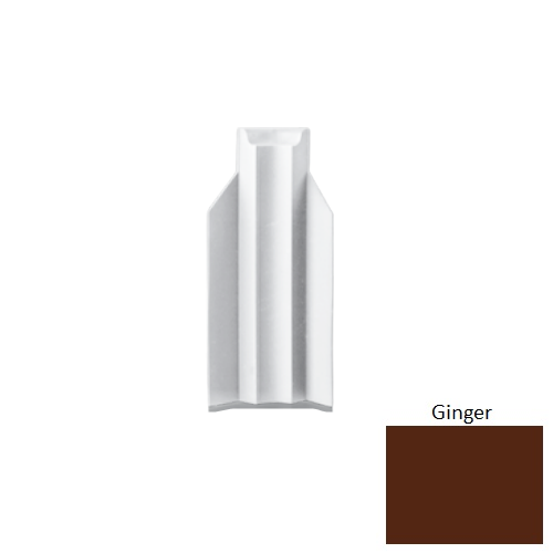 RCB Ginger 007