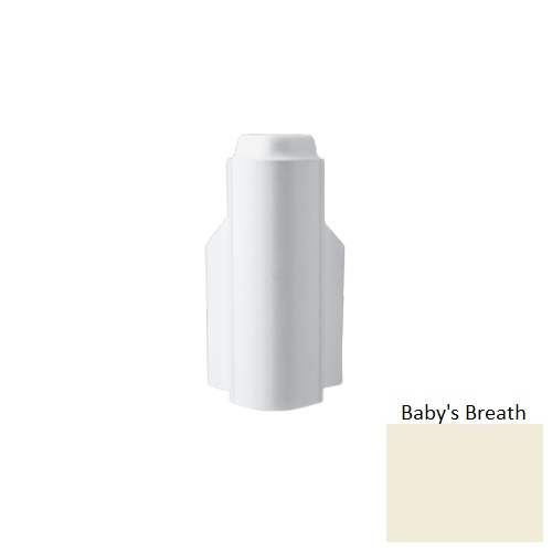 RCB Babys Breath 018