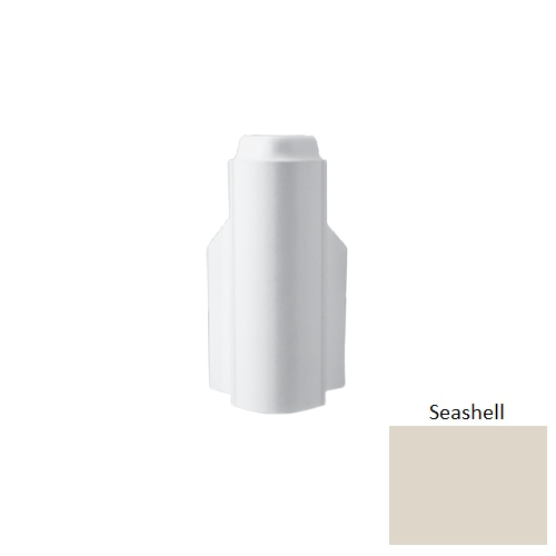 RCB Seashell 074