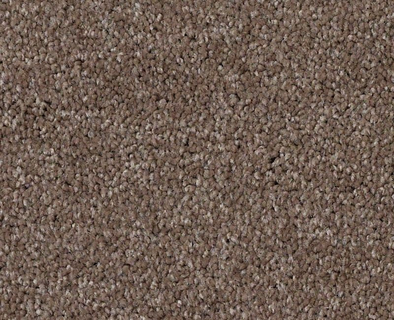 XV694 Rustic Taupe 00706