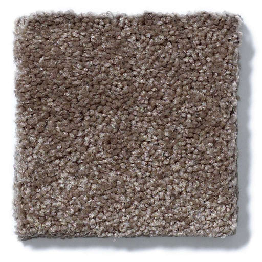 Laguna Beach Rustic Taupe 00706