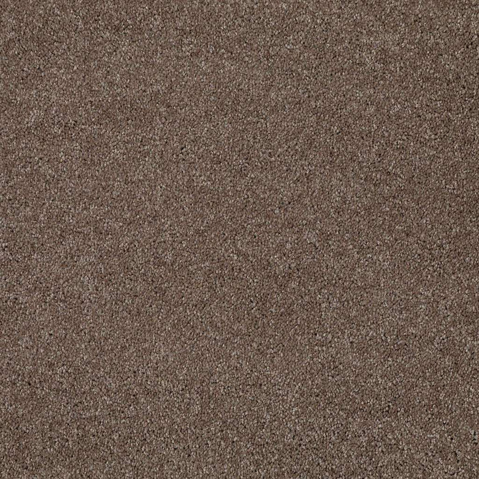 Laguna Beach Nylon Rustic Taupe 00706