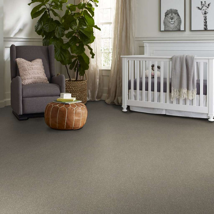 Simply The Best After All II Rustic Taupe 00722 Textured Polyester