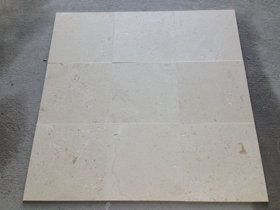 Shell Stone Shellstone Tile - 24" x 24" Brushed