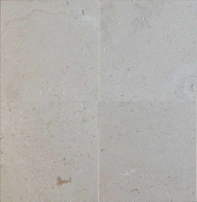 Full Tile Sample - Shell Stone Shellstone Tile - 24" x 24" x 1/2" Brushed